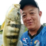 Guia de pesca Tanaka